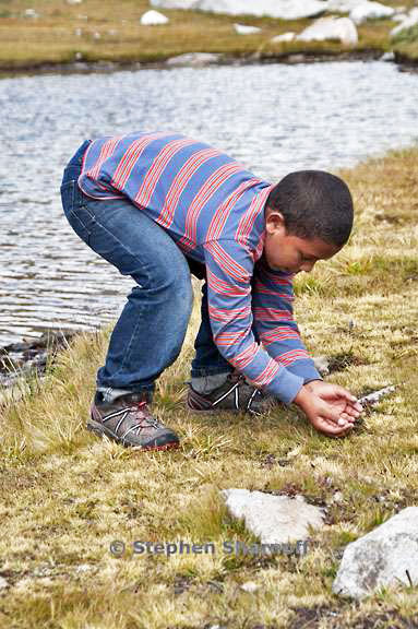 catching frogs 10 graphic